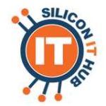 Sillicon IT Hub