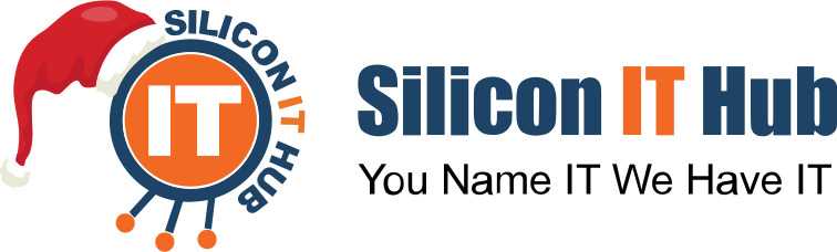 Sillicon IT Hub