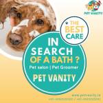 Pet Vanity Chandigarh