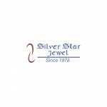 Silver Star Jewel