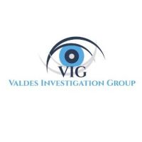 Valdes Investigation group Avatar