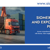 Siomex Data Avatar