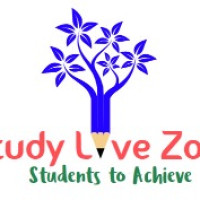 Studylivezone work Avatar