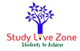 Studylivezone work