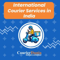 courier Dunia Avatar