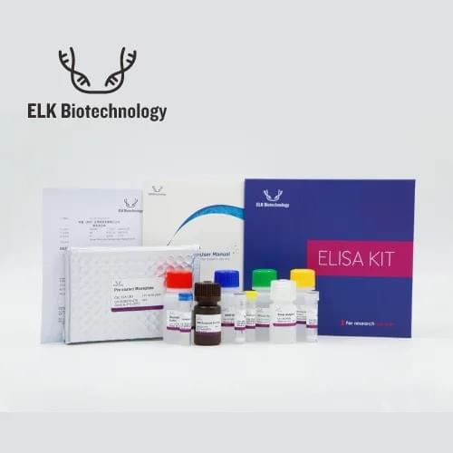 Tips for Validating Results from Different ELISA Kit Su...