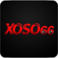 Xoso66 loans Avatar