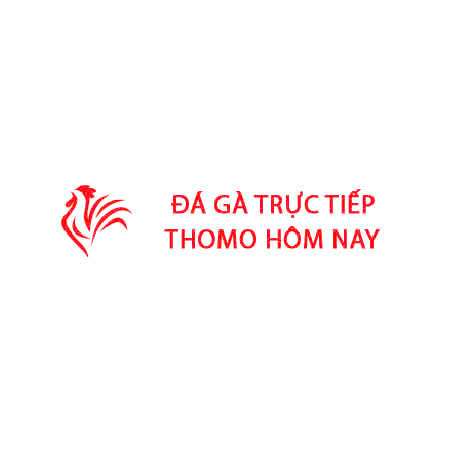 Đá Gà Trực Tiếp Thomo Hôm Nay