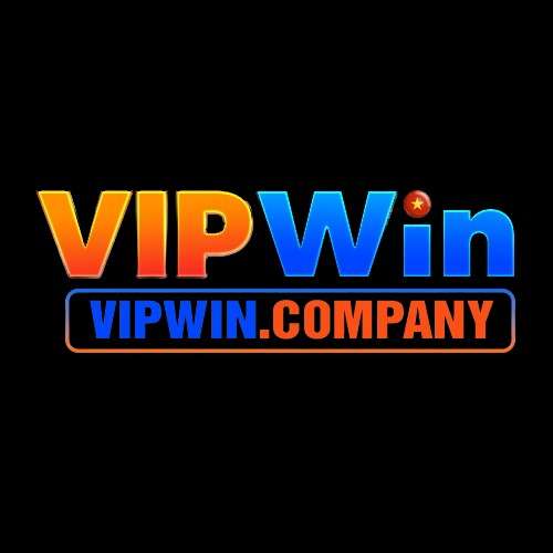 vipwin company