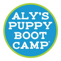 Alyson Puppy Bootcamp