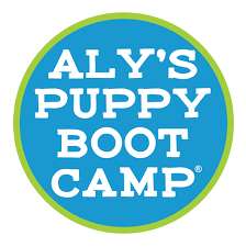 Alyson Puppy Bootcamp