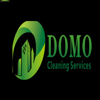 Domo Cleaning Avatar