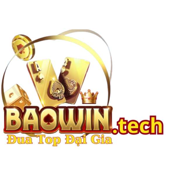 BAOWIN tech