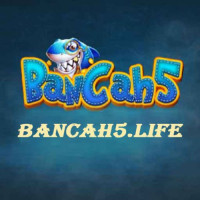 BANCA H5 Avatar