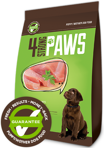 Chicken & Salmon - Grain Inclusive Puppy Food - 12.7 kg/28 lbs Bag - 4 Strong Paws