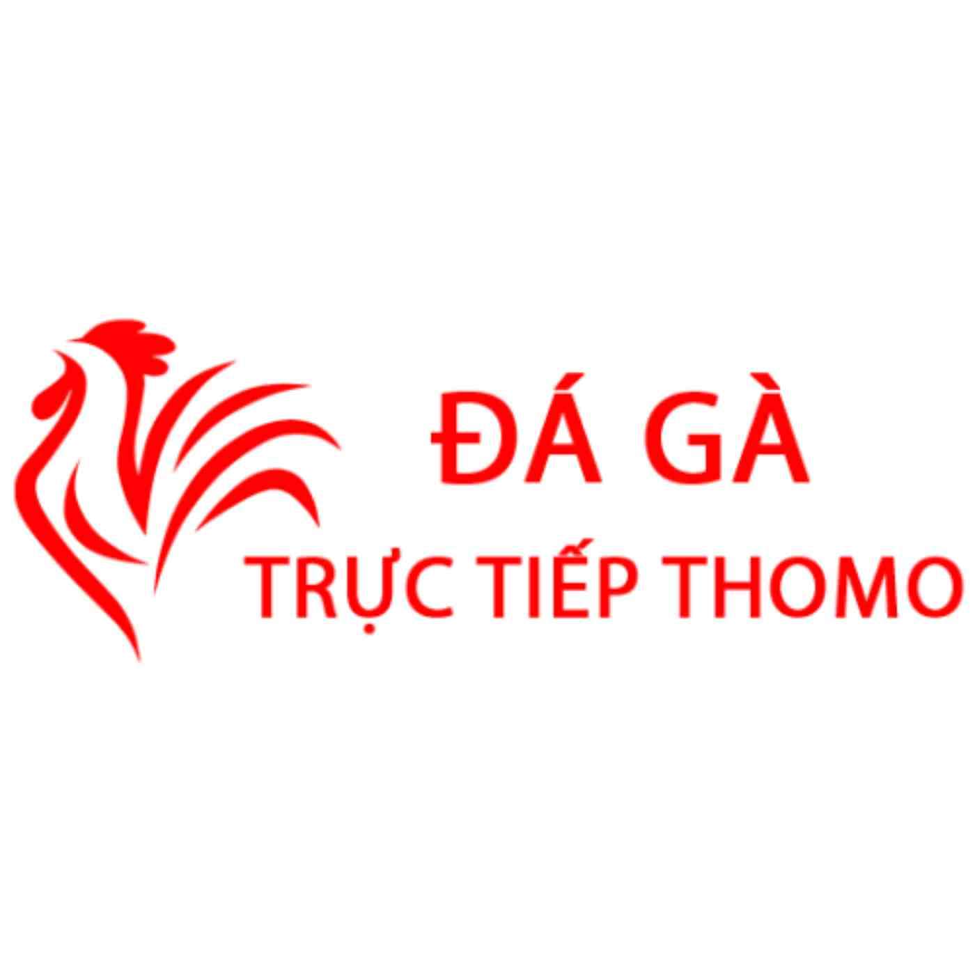 Đá Gà Trực Tiếp Thomo Hôm Nay