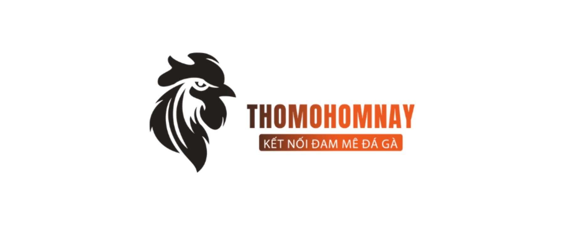 Đá Gà Thomo Hôm Nay