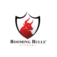 Booming Bulls Academy Avatar