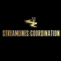 Streamlines Coordination Avatar