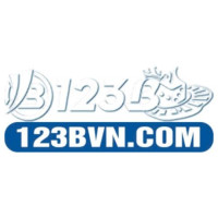 123b vninfo Avatar