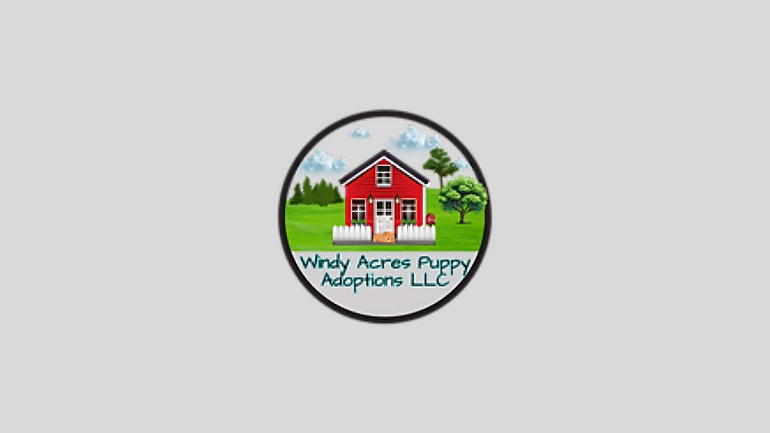 Windy Acres Puppy