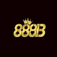 888B Avatar