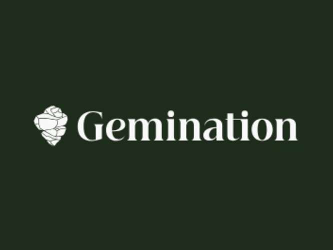 Gemi nation