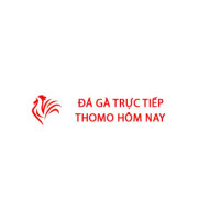 Đá Gà Trực Tiếp Thomo Hôm Nay Avatar