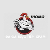 ĐÁ GÀ TRỰC TIẾP CAMPUCHIA GÀ THOMO HÔM NAY Avatar