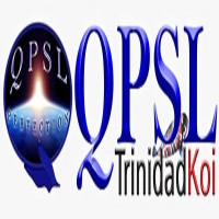 QP SL Avatar