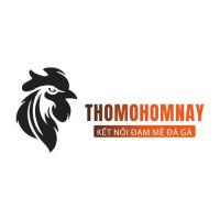 Đá Gà Thomo Hôm Nay Avatar