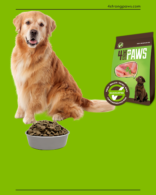 How to choose the best Dog food for your pet’s wellness ?