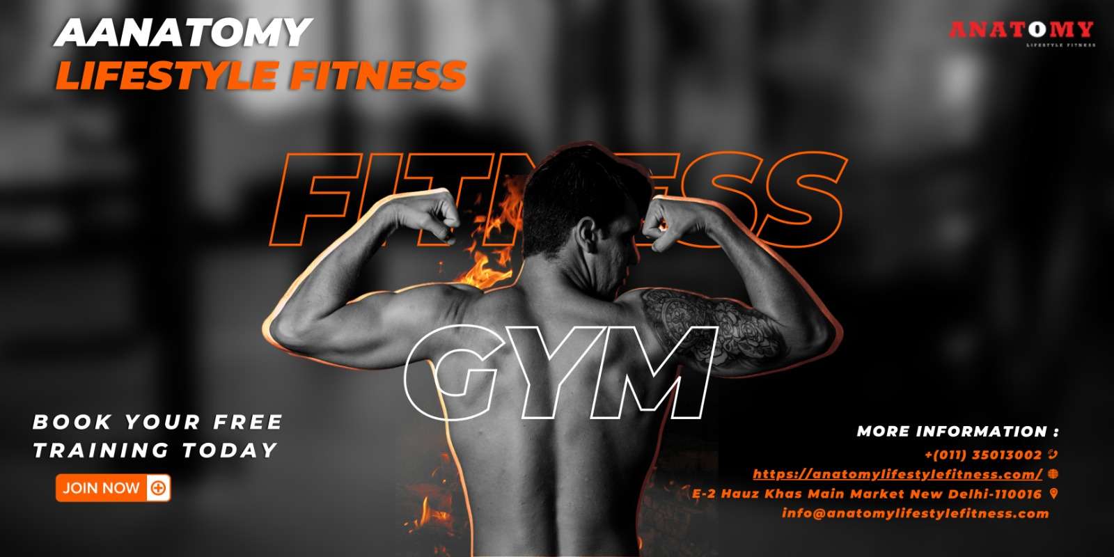 anatomylifestyle fitness