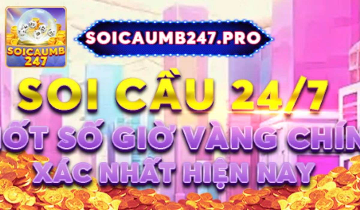 soi cầu MB 247