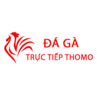 Đá Gà Trực Tiếp Thomo Hôm Nay Avatar