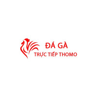 Đá Gà Trực Tiếp Thomo Hôm Nay Avatar