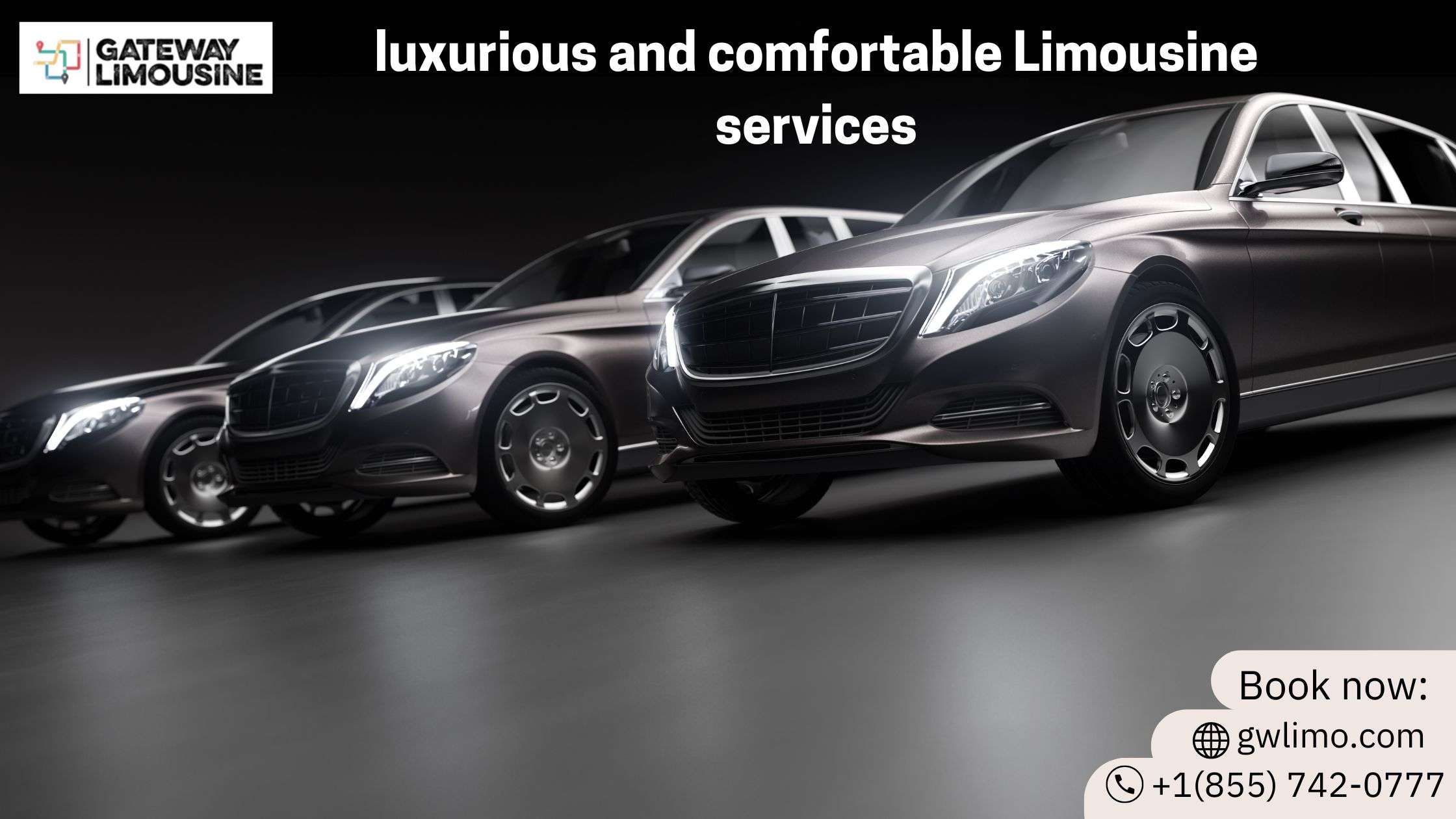 Gateway Limousine