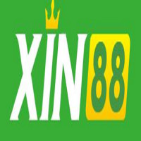 xin88 st10 Avatar