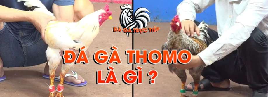 ĐÁ GÀ TRỰC TIẾP THOMO Cover