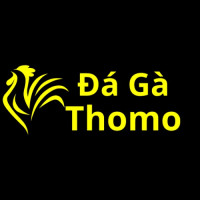 Đá Gà Thomo Trực Tiếp Avatar