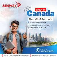 Seaway Consultant