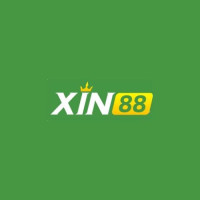 XIN88 Avatar