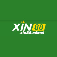 XIN88 miami Avatar