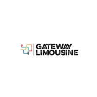 Gateway Limousine Avatar