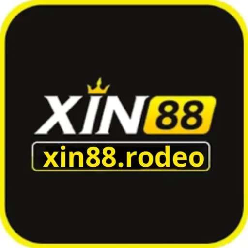 xin88 rodeo