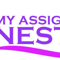 My Assignment Nest Avatar