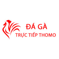 Đá Gà Trực Tiếp Thomo Hôm Nay Avatar