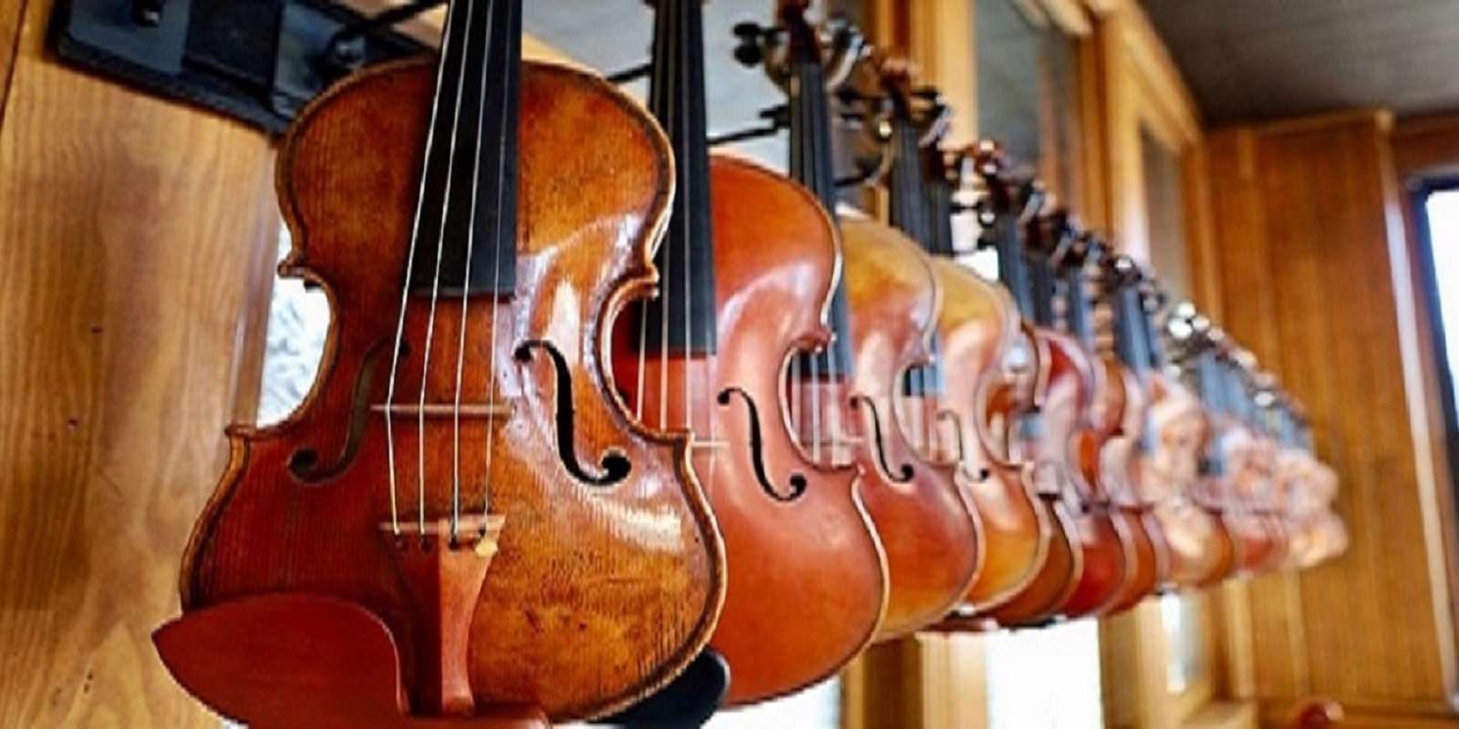 Payton Violins