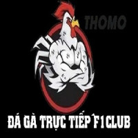 ĐÁ GÀ TRỰC TIẾP CAMPUCHIA GÀ THOMO HÔM NAY Avatar