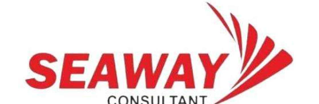 Seaway Consultant Cover